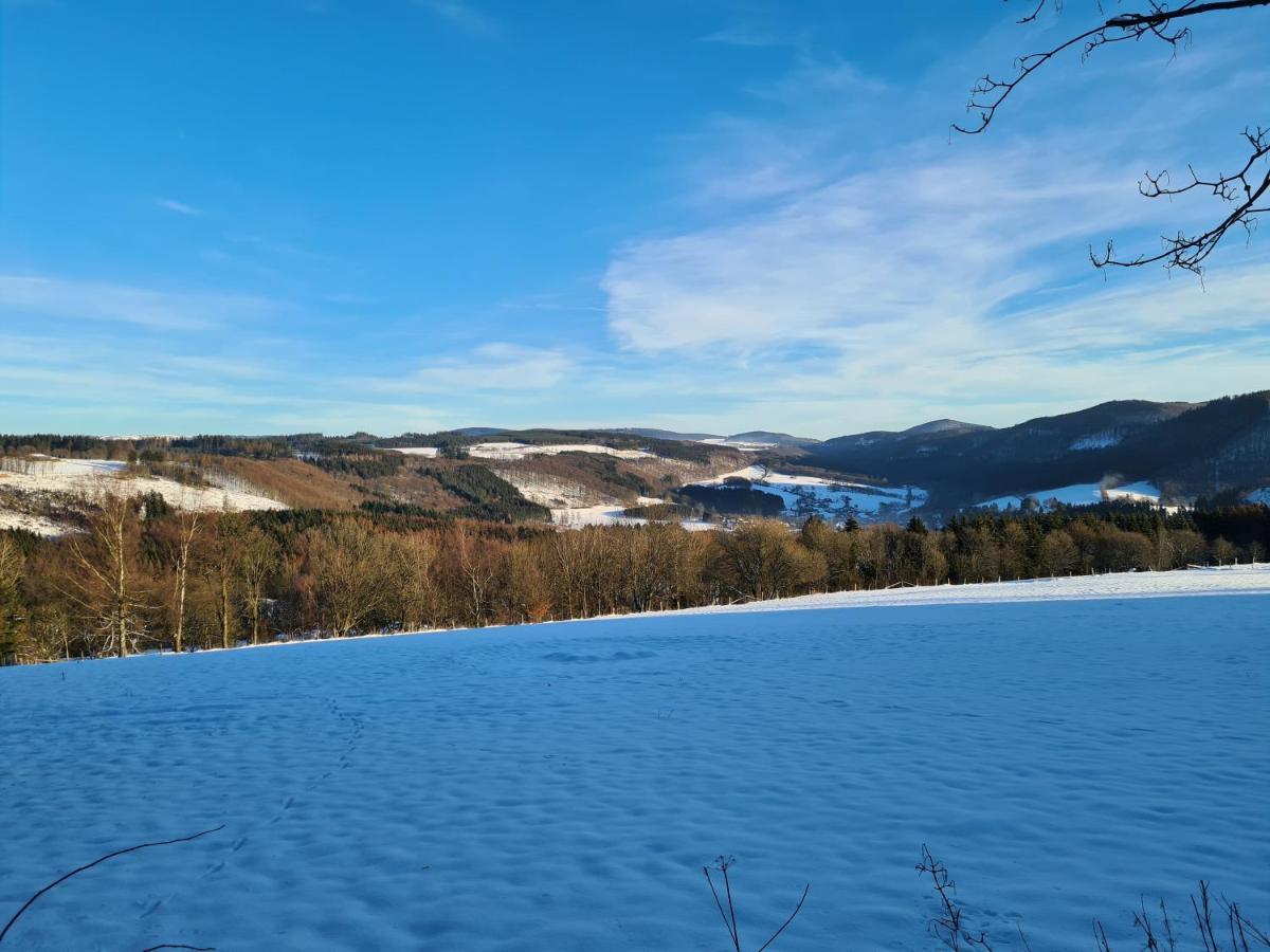 Ferienwohnung Auszeit Winterberg Zentrum Eksteriør billede